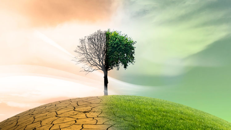 The Role of EU Digital Law in the Green Deal DEH10